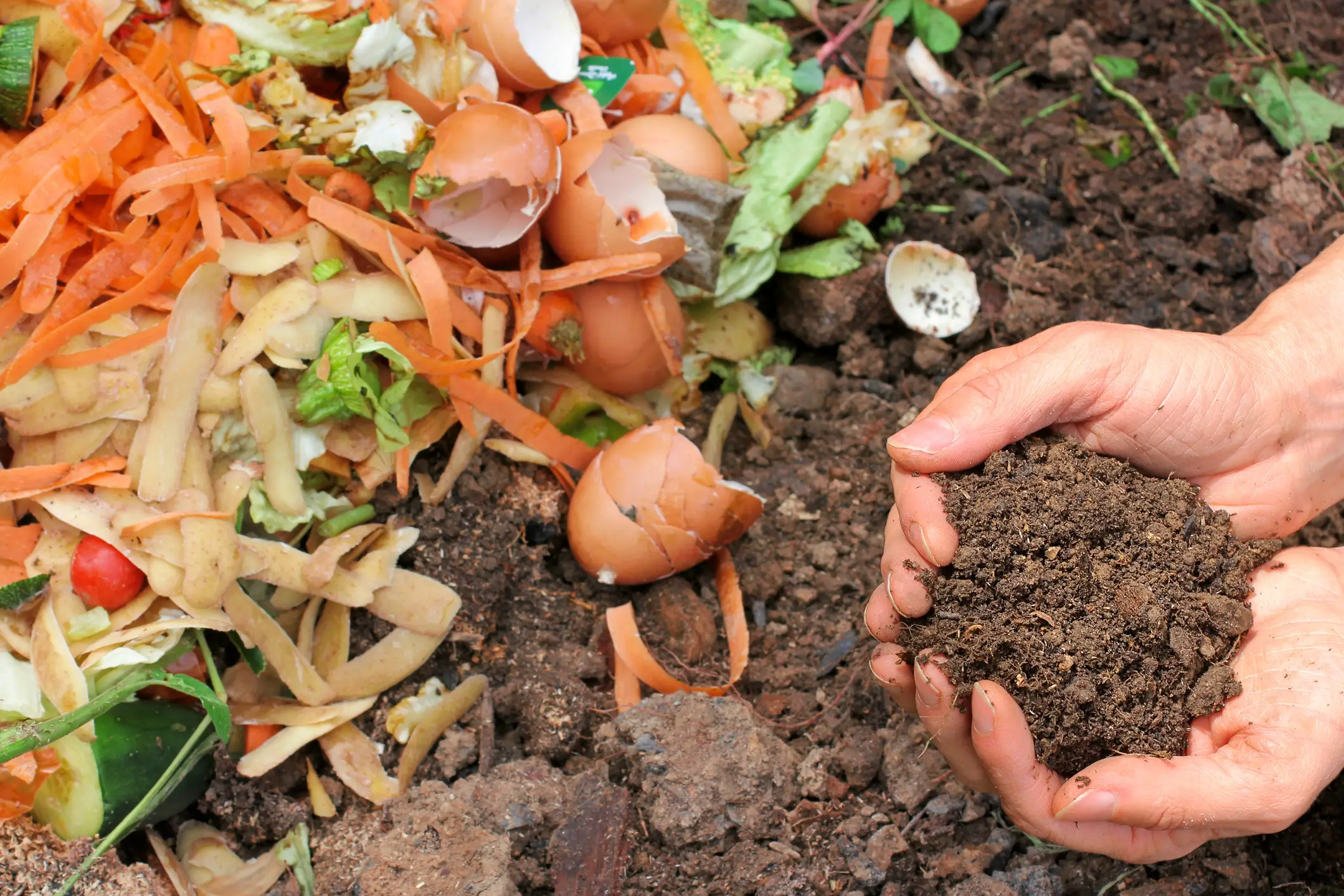 Divert Waste From Landfills