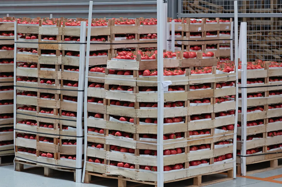 Edible Food Recovery